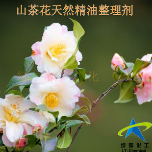 ɽ�軨��Ȼ�������턩�o�w���턩