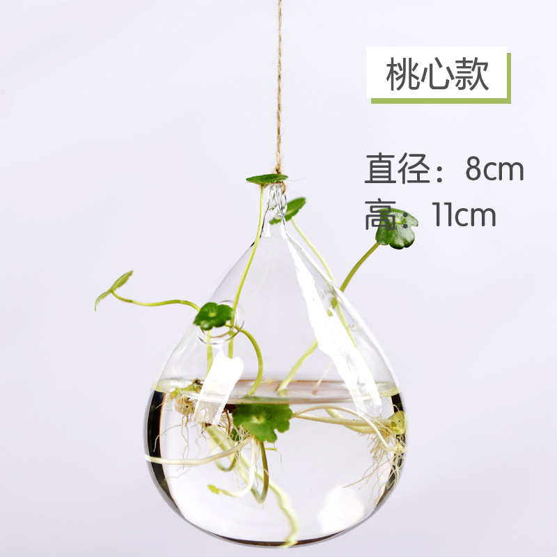 Fábrica directa colgando florero de vidrio transparente simple hidropónico pequeña botella colgante interior jardinería decoración del hogar botella planta