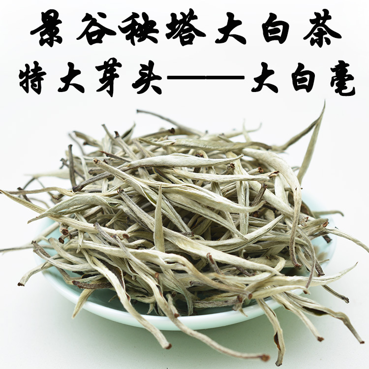 批发云南白茶普洱景谷大白毫银针2025年明前头春单芽头月光白银芽