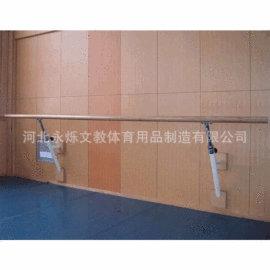 教学仪器;其他美术用品;学校课桌椅