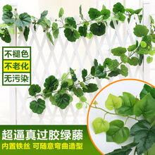 过胶绿叶吊顶装饰仿真绿植物假树叶绿萝葡萄常青藤条藤蔓爬山虎
