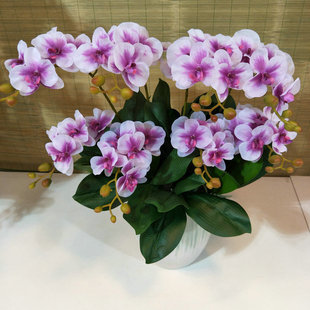 ���l���� �zƬ�ɲ控�~����С�����m�� �ٻ����� ���컨 һ�����l