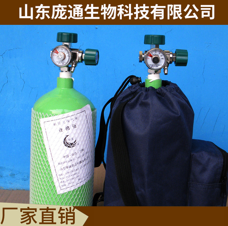 .厂家直供 背包式 便携式气瓶 吸氧配件齐全 无缝氧气瓶