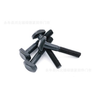 �S�ҬF؛T�Ͳ�����˨8.8���l�������ݽzM8M10M12�L���^��˨T��˨