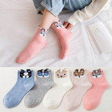 Ůʿ�m��������|͸��Ů�m �l�y����Ůʿ��Ͳ���m���T�ߏS�����l