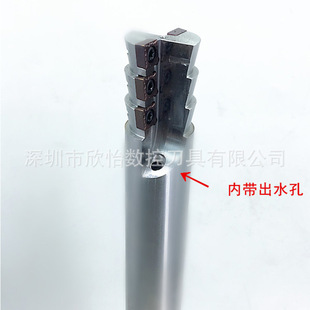 �ǘ��M�����͵��ǘ��¿׷ǘ��M��С�׏��M�����w