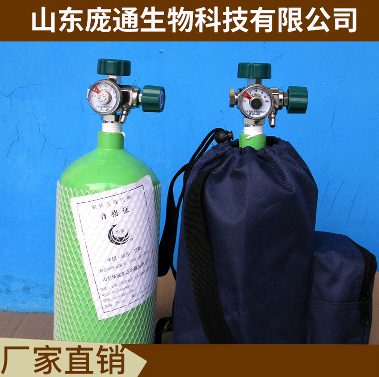 出 口 专业供氧器 2L供氧气瓶 吸氧配件齐全 带背包