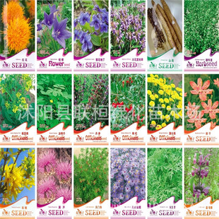 �ʴ��b���N�в�ș�N�� �۹� �ѹ�Ӣ ɽș ��ĸ�� ��� �t�� ��ݸ