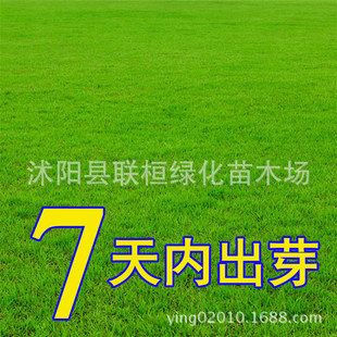 �����ļ����ƺ�N�Ӳ��޼����X�� ������ �R���� �o�²��� ���~��