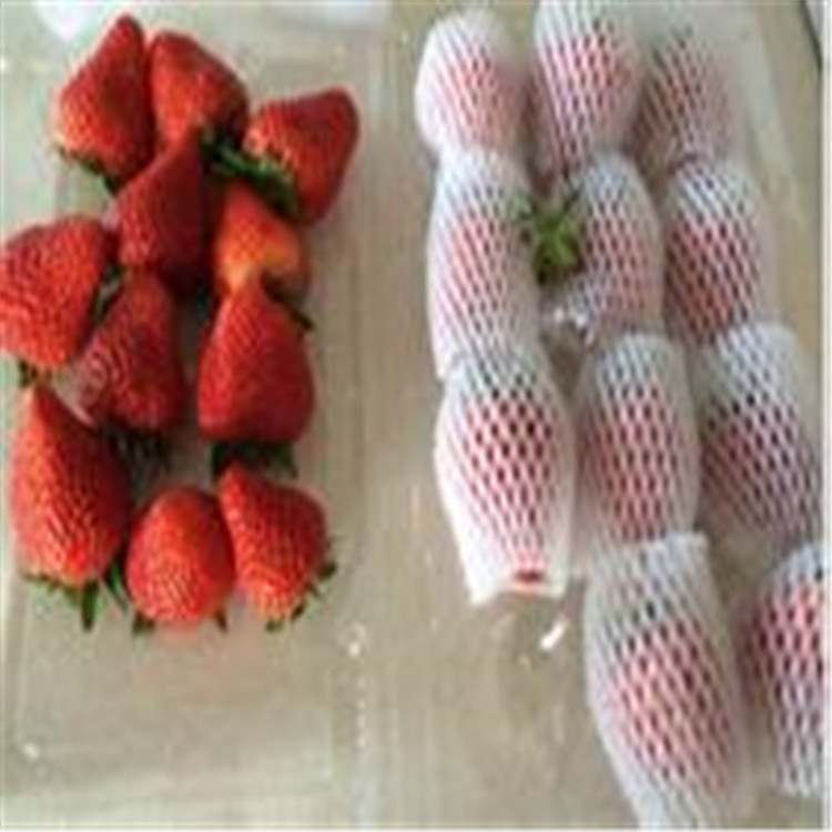 水果网套枇杷包装防震网套苹果包装泡沫网套桃子包装珍珠棉