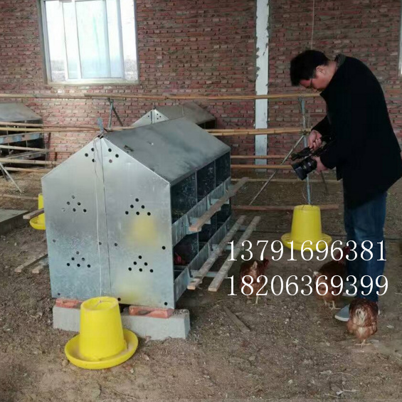 山东厂家批发24穴母鸡产蛋箱 产蛋箱价格 手动产蛋箱