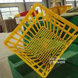 塑料种蛋箱 36枚鸡蛋周转筐 纯原料种蛋运输筐