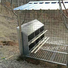 12穴鸡用产蛋箱厂家批发产蛋箱热镀锌产蛋箱图片