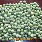 大青豆 双青豆 青皮黄豆 绿皮绿芯黄豆 磨豆浆绿黄豆农家自种