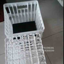 鸡蛋运输筐 鸭鹅蛋运输箱 种蛋周转筐图片