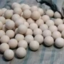 生产耐磨自润滑白色尼龙球