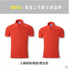 Summer short sleeve T-shirt, polo, overall, custom made, with embroidery