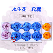�������ɻ� ����b���������Zõ�廨�^���ldiy�r������4-5cm���r��