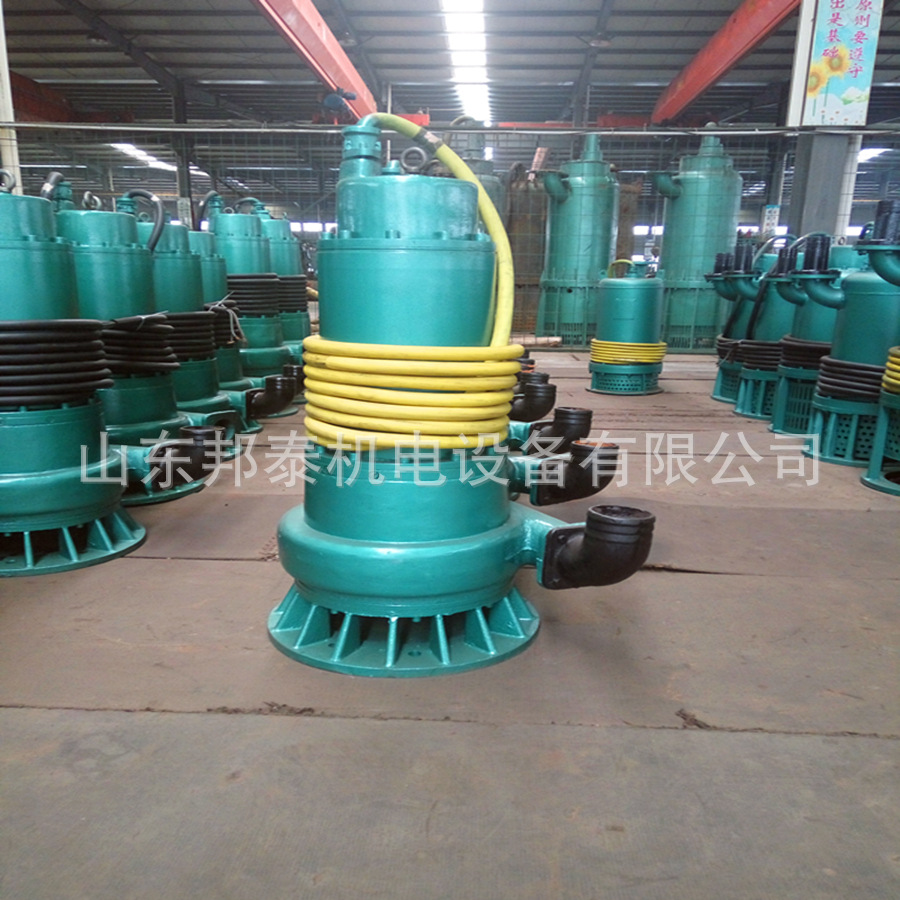 防腐蚀不锈钢潜水泵 选型方便隔爆潜水电泵 BQS30KW不锈钢潜水泵