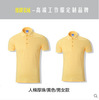 Summer short sleeve T-shirt, polo, overall, custom made, with embroidery