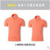 Summer short sleeve T-shirt, polo, overall, custom made, with embroidery