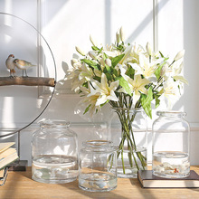 玻璃花瓶 透明玻璃花瓶 花瓶摆件家居装饰工艺品 现代简约小花瓶