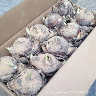 ���l����ˮ�ɻ��N���r���Ԯa���N�����g�h��Ʒ�|���϶���ˮ�໨��