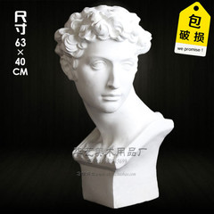 High-quality plaster skull model—unisex educational tool featuring geometric shapes, portrait busts, and still-life plaster sculptures for drawing practice.