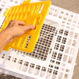 山东临沂 鸡鸭笼周转筐 成鸡养殖笼家用 加厚活禽笼子 塑料运输笼