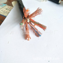 DJYPVP4*2*1.0Ӌ��C������|DJYVP�~�W�������� ��׼