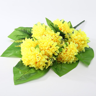 �¿�14�^��������������ĸ�H���𹩉��^��Ĺ��@���滨���l���컨