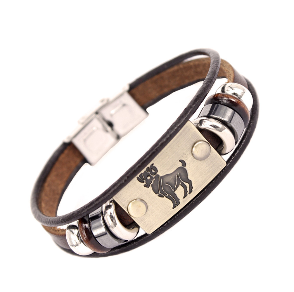Stainless Steel Zodiac Charm Bracelet Brown Leather Pakistan
