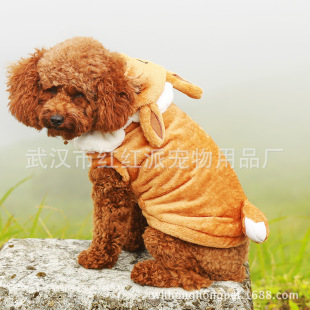 HONGHONGPET׃���b̩�ϱ����ﶬ���ﹷ�·����l�S�ҹ���