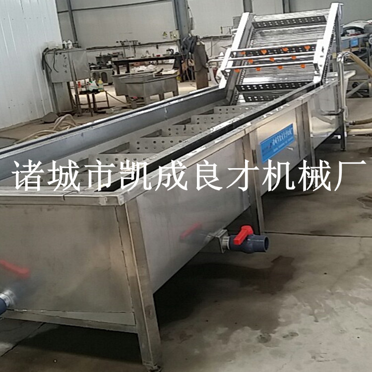 供应苹果清洗气泡清洗机 全自动果蔬清洗机 土豆清洗机厂家 清洗