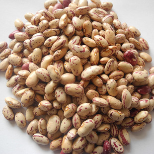 2025����؛�½��L�̻�ܿ�����A�̻�ܿ�������ڼ��˹����x�A�̻�ܿ