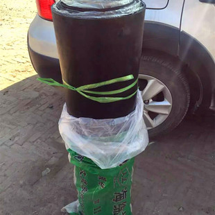 ���l���d�l�����z�� �����������I�߉��p�����z��ܛ�z���r�|