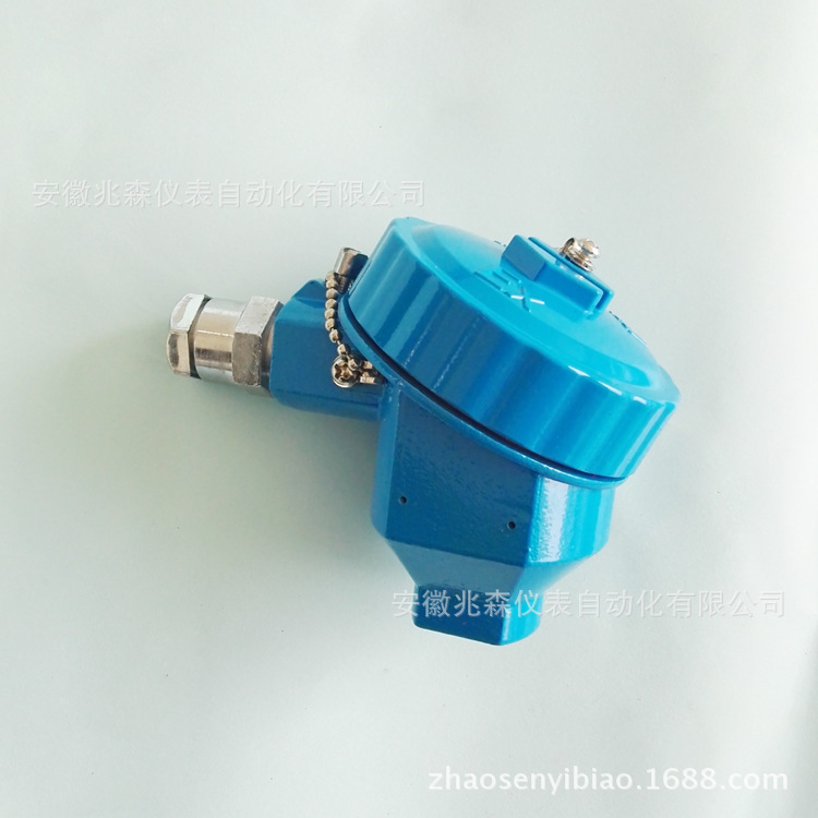 中防爆接线盒 BT4防爆接线盒 热电偶接线盒偶头 热电阻偶头