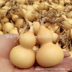 メーカーは天然のヒョウタンの手を卸売りしてヒョウタンの文を遊んでヒョウタンの草の中の金を遊びます。