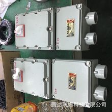 乐清bdz52-100L漏电型防爆断路器 厂家铝合金外壳断路器防水