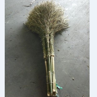 ��U��߰ѭh�l��߰ьWУ��ͥ�坍�ô����ؔ�؛�����s�����l