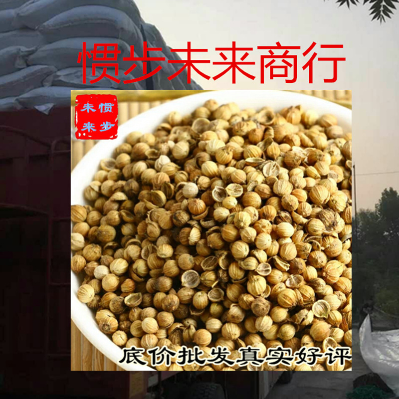 Wholesale small-sized coriander seeds 500g, freshly ground coriander powder, also includes bulk dry large coriander seeds, origin source supply