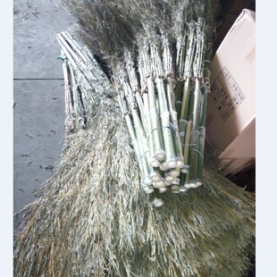 ��U��߰ѭh�l��߰ьWУ��ͥ�坍�ô����ؔ�؛�����s�����l