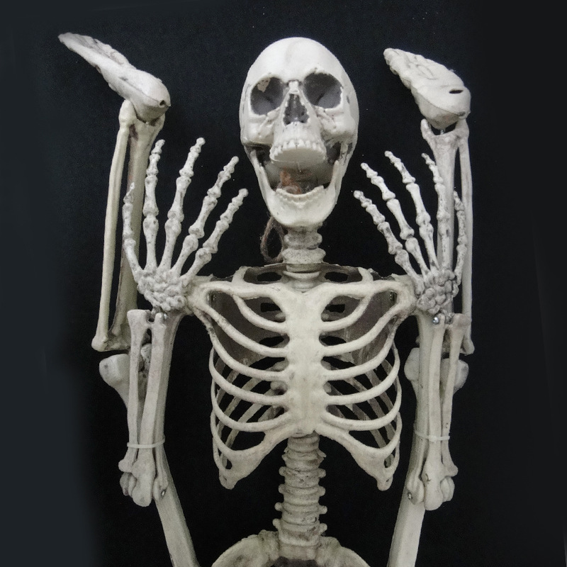 Halloween terror apoyos esqueleto humano casa embrujada Cámara horror cadáver esqueleto plástico