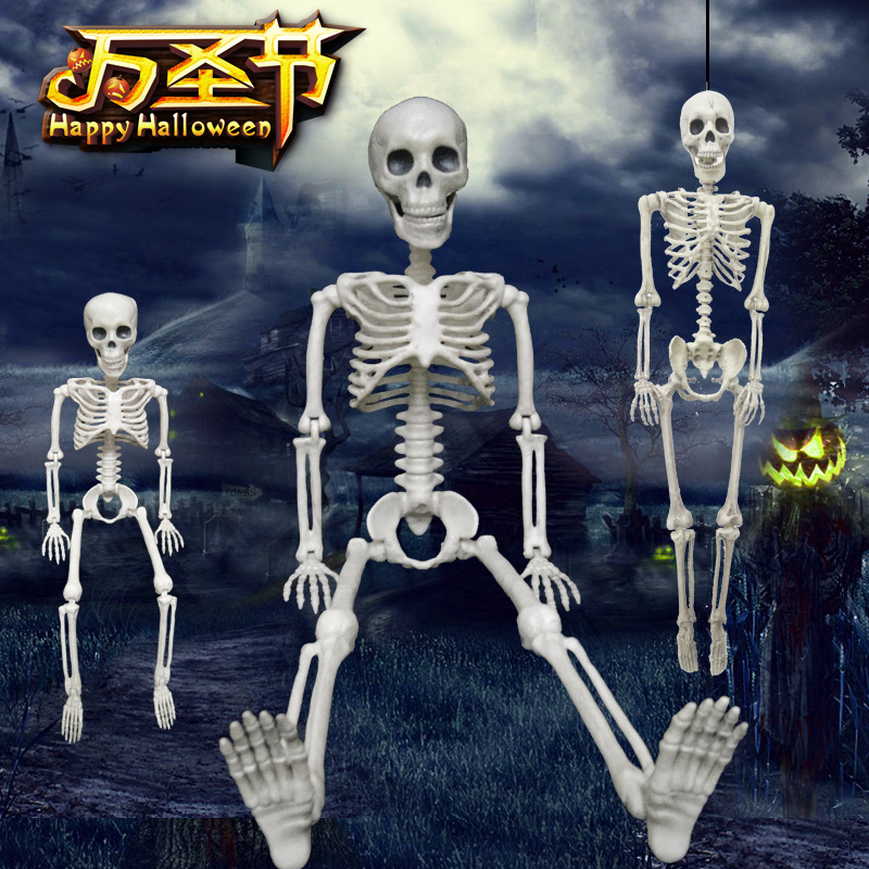 Halloween terror apoyos esqueleto humano casa embrujada Cámara horror cadáver esqueleto plástico