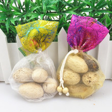 ���ľâ���������������޹