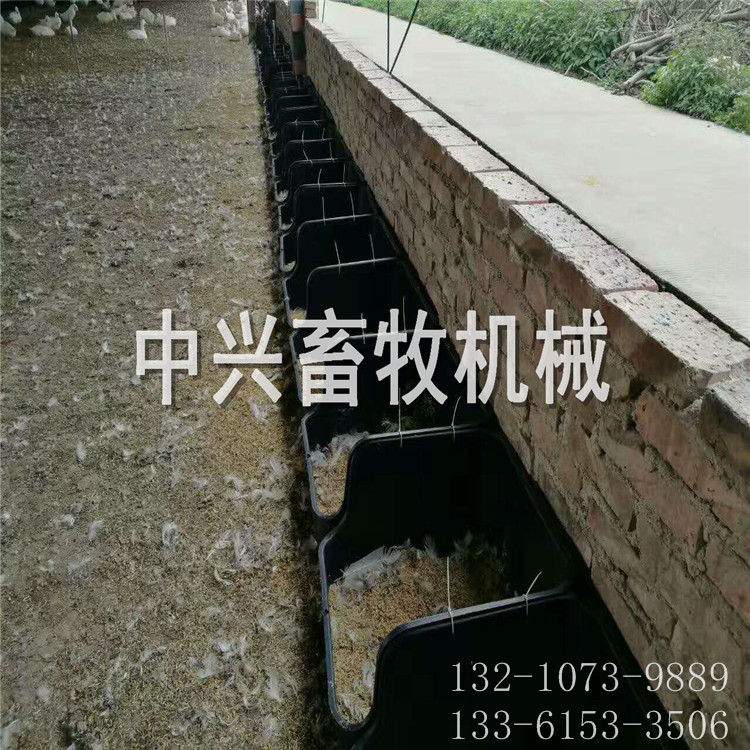 鸭蛋窝图片	 鸭蛋窝价格 鸭下蛋塑料箱 优质塑料蛋窝  蛋窝厂家