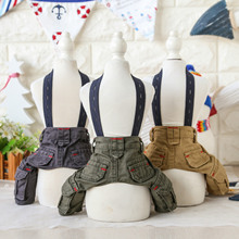 Petstyle ���bѝ ���ѝ ̩�� ���� ���b�L�������e���ﱳ��ѝ