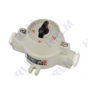 防爆照明开关SW-10A芯子