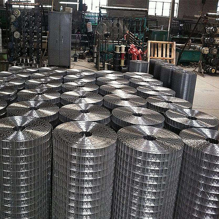 热镀锌铁丝网防锈网格电焊网防鼠阳台防护热镀锌围栏网鸡鸭养殖网