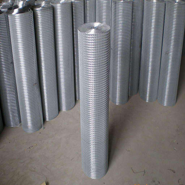 现货供应55丝电焊网1/2建筑钢构养殖工艺品加工等各种电焊网